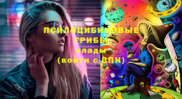 дживик Козельск