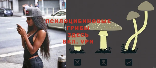 прущая мука Кинешма