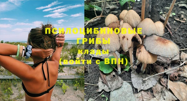 не бодяженный Киренск