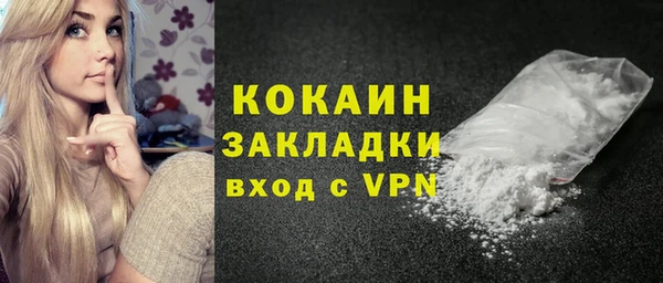 дживик Козельск