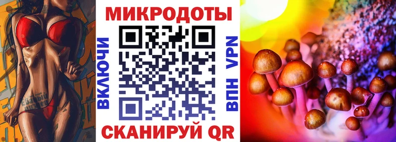 Купить  Борзя  Псилоцибиновые грибы ЛСД 